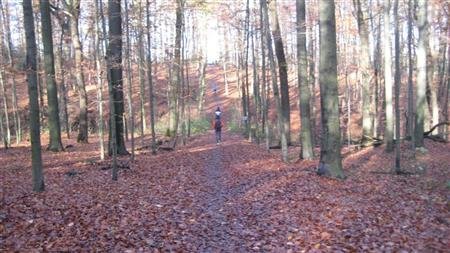 IMG_1983.JPG
