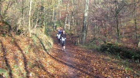 IMG_1986.JPG