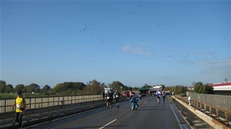 IMG_4990.JPG