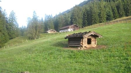 IMG_Kailt_Alm.JPG