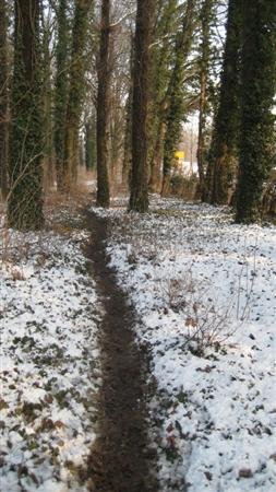 tv-flerke.de-IMG_4189 (2).JPG