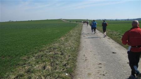 tv-flerke.de-springe-09 (10).JPG