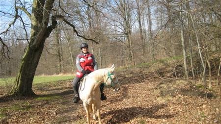 tv-flerke.de-springe-09 (3).JPG