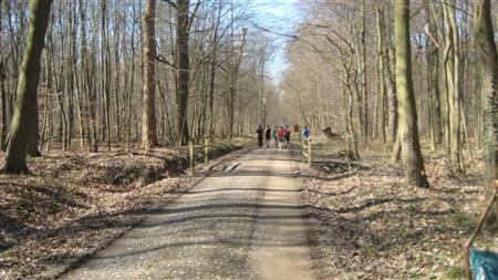 tv-flerke.de-springe-09 (8).JPG