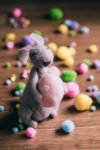 Photo by <a href="https://unsplash.com/@freestocks?utm_source=unsplash&utm_medium=referral&utm_content=creditCopyText">freestocks</a> on <a href="https://unsplash.com/s/photos/happy-easter?utm_source=unsplash&utm_medium=referral&utm_content=creditCopyText">Unsplash</a>